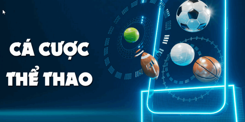 Cá cược thể thao sanclub với mức hoàn trả cao top 1 thị trường